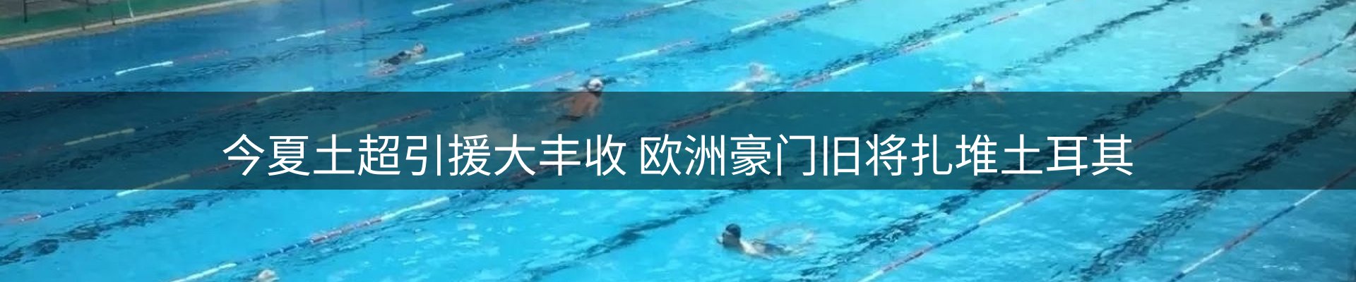 资讯动态