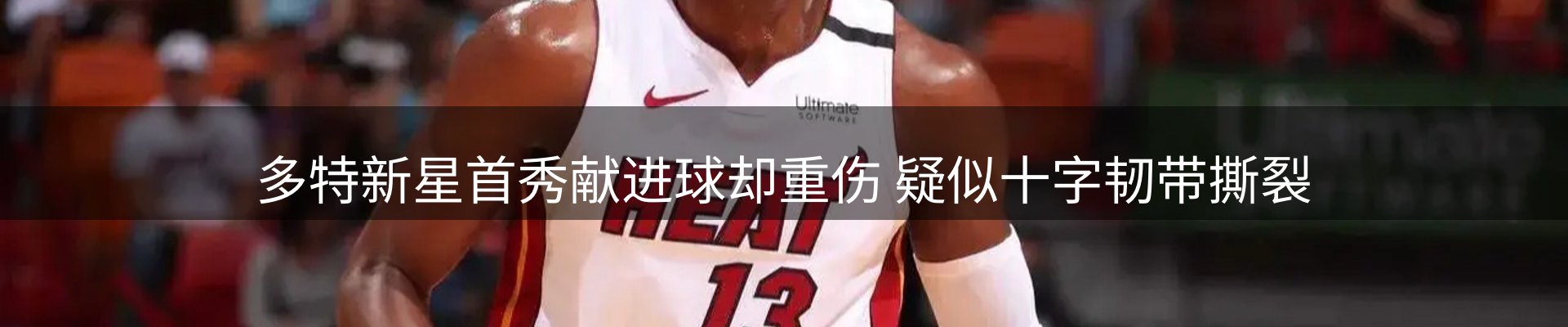焦点评析